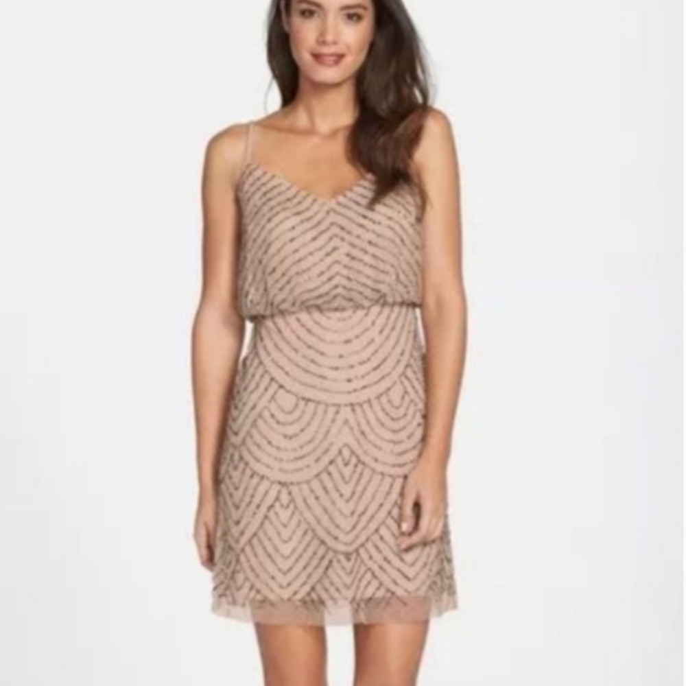 Adrianna Papell Blouson Bead Dress | 2